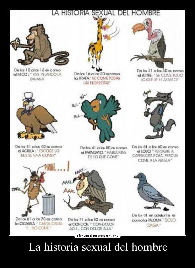 HISTORIA DEL HOMBRE historia del hombre: