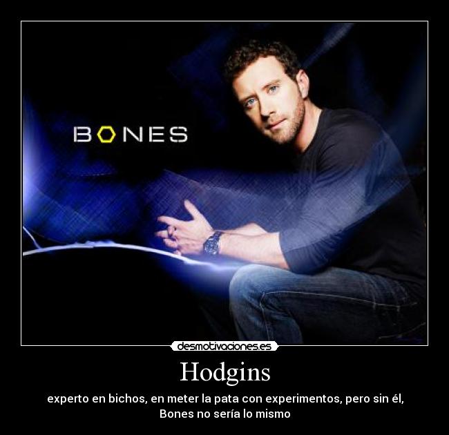 Hodgins - 