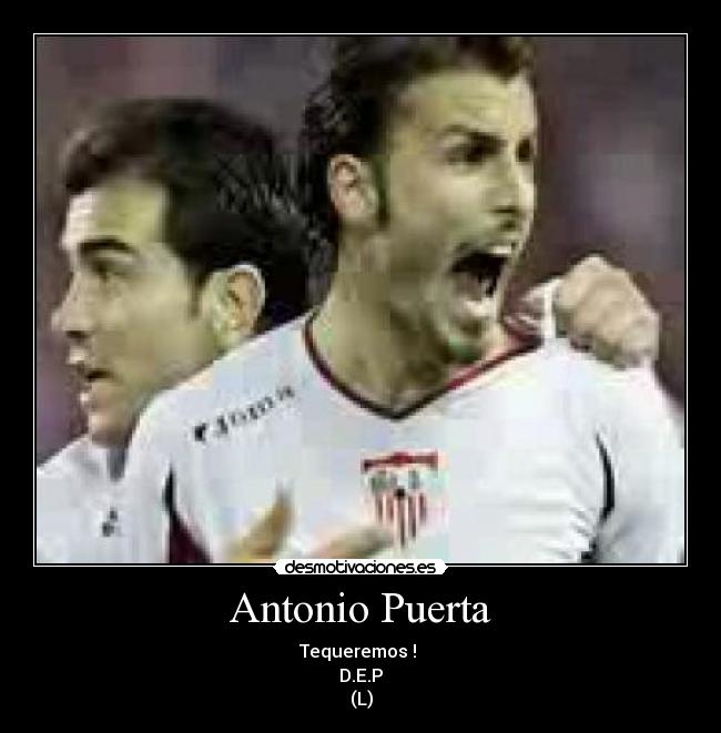 Antonio Puerta - Tequeremos !
D.E.P
(L)