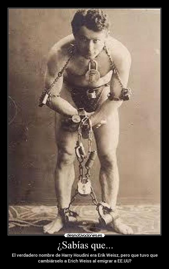 carteles sabias que desmotivaciones