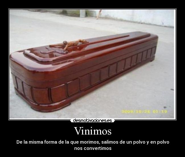 Vinimos - De la misma forma de la que morimos, salimos de un polvo y en polvo
nos convertimos