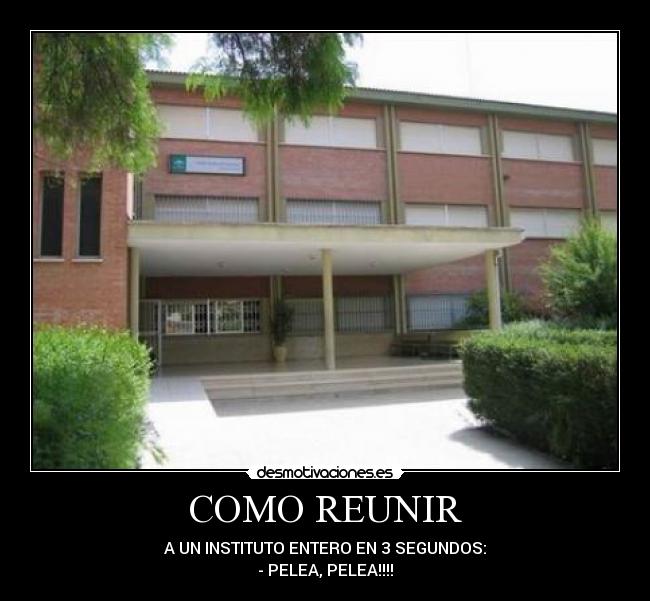 COMO REUNIR -