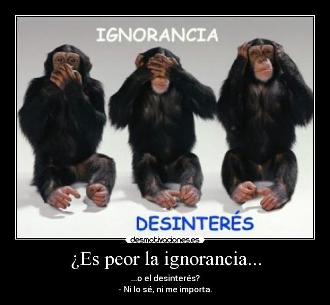 ¿Es peor la ignorancia... - ...o el desinterés?
- Ni lo sé, ni me importa.