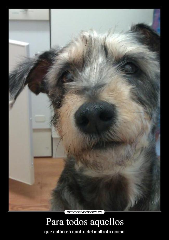 Para todos aquellos - 