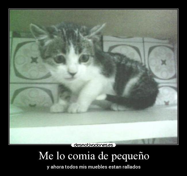 Me lo comia de pequeño - 