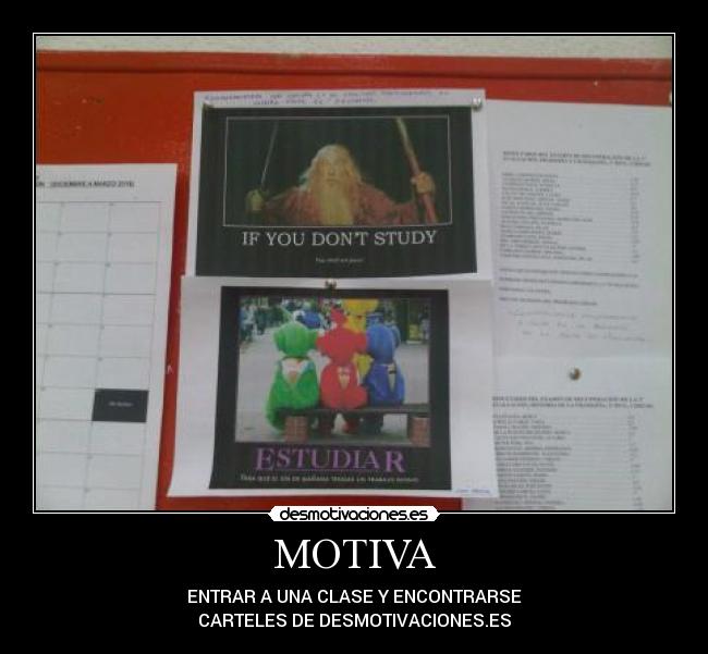 MOTIVA - 