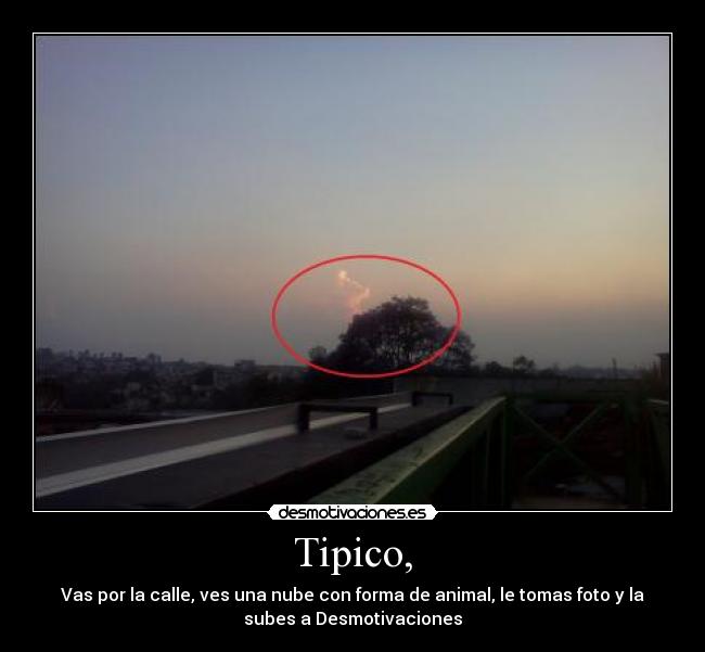 Tipico, - Vas por la calle, ves una nube con forma de animal, le tomas foto y la
subes a Desmotivaciones