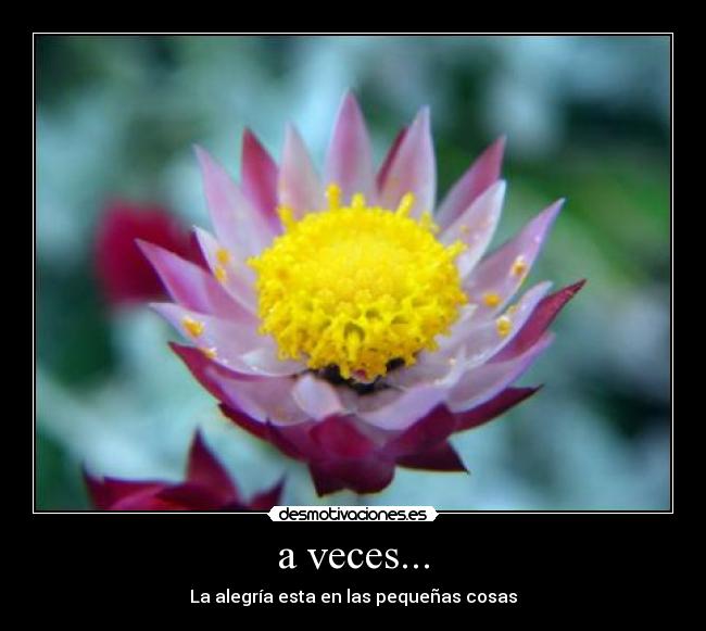 a veces... -