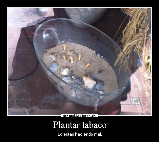carteles plantacion tabaco desmotivaciones