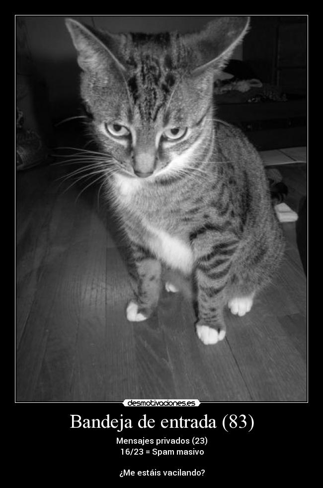 Bandeja de entrada (83) - Mensajes privados (23)
16/23 = Spam masivo

¿Me estáis vacilando?