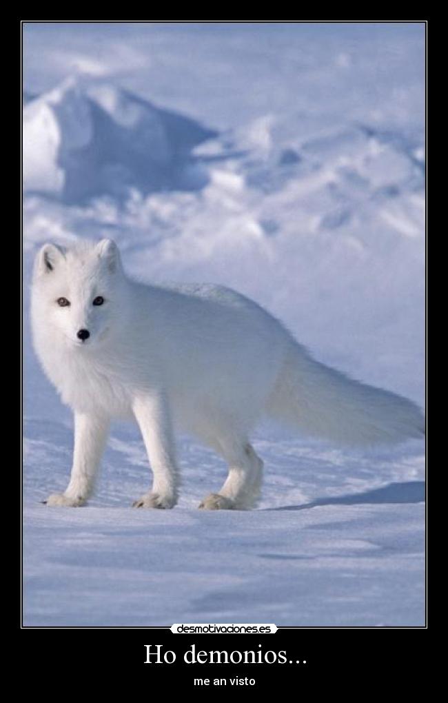 Ho demonios... - 