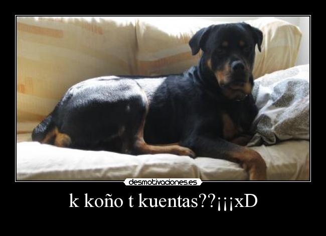 k koño t kuentas??¡¡¡xD -