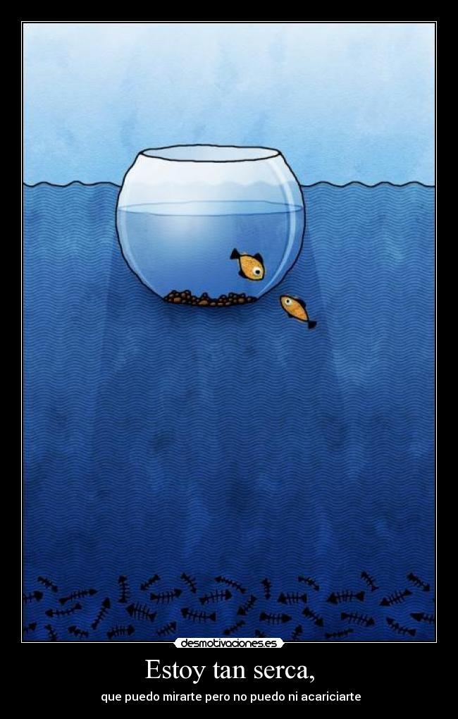 Estoy tan serca, - 