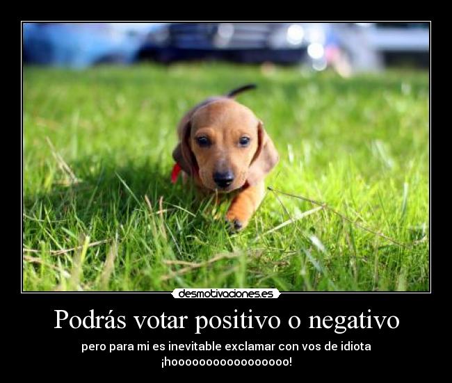 Podrás votar positivo o negativo - 