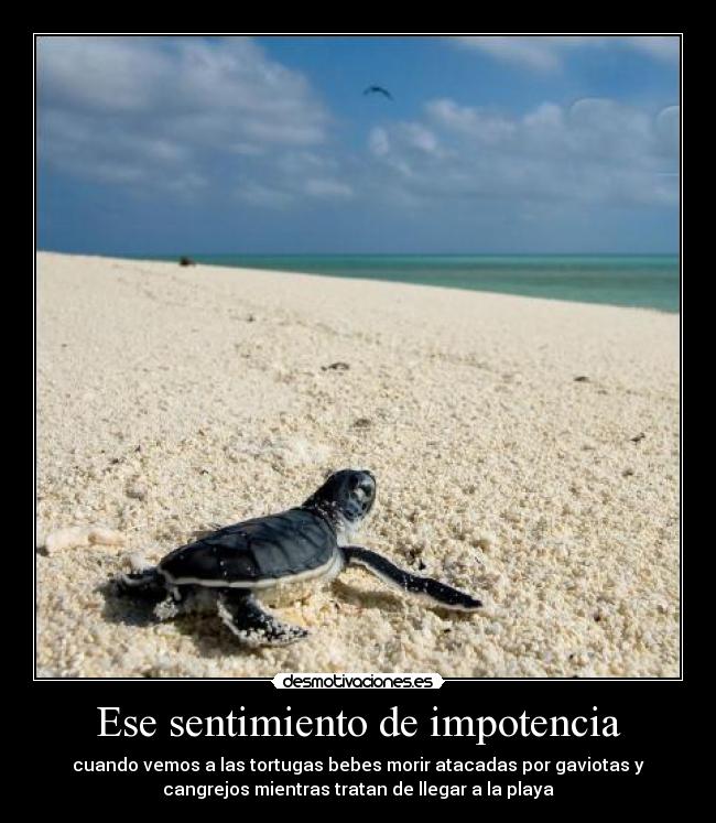 Ese sentimiento de impotencia - 