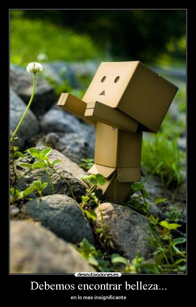 Debemos encontrar belleza... -