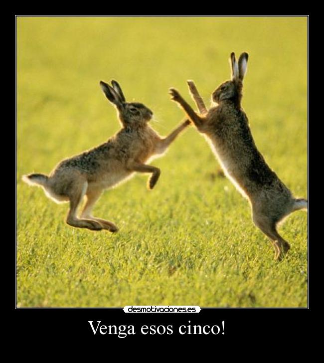 Venga esos cinco!   - 