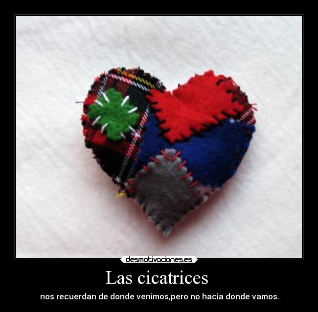 Las cicatrices -