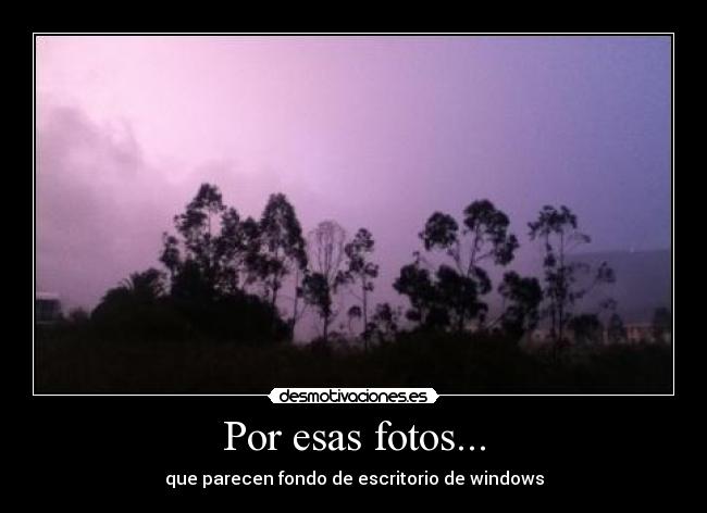 Por esas fotos... -