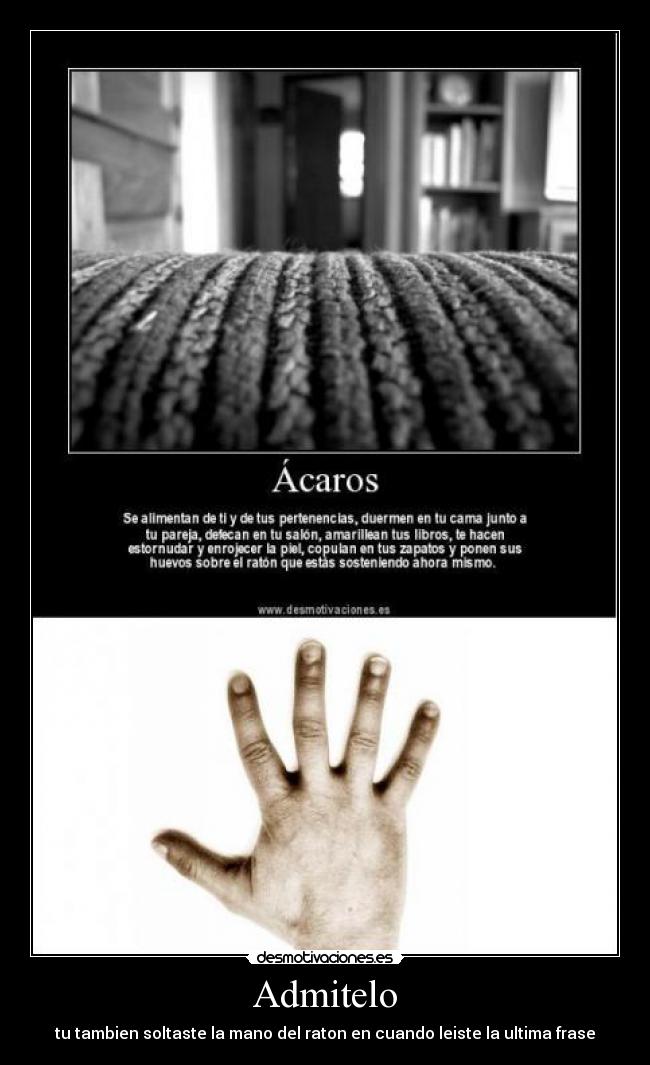 Admitelo - tu tambien soltaste la mano del raton en cuando leiste la ultima frase