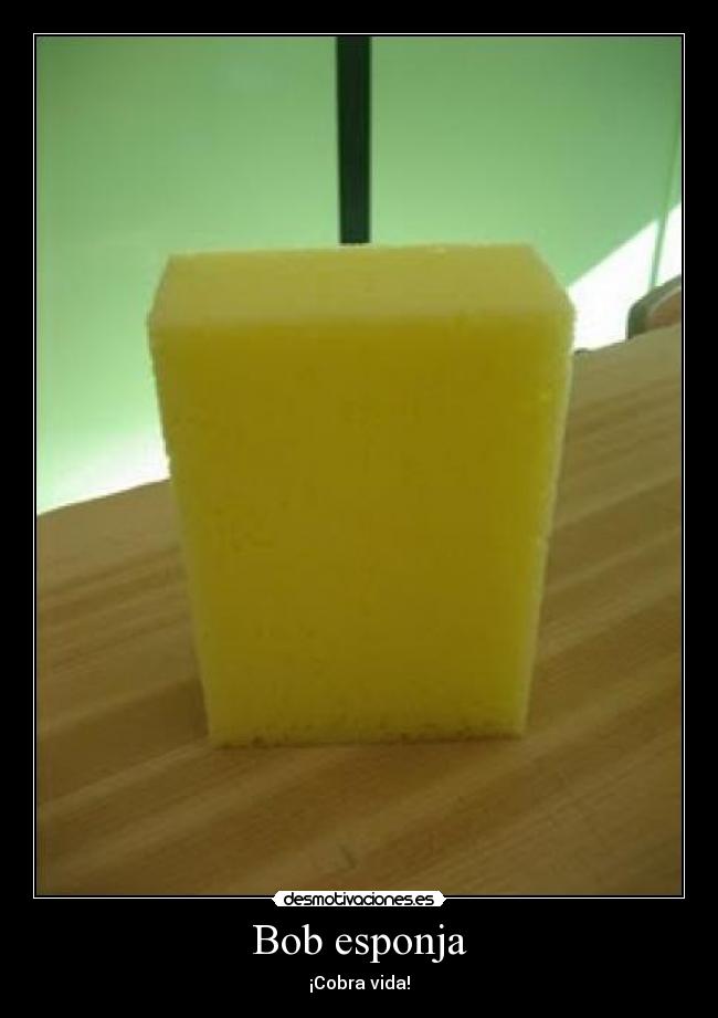 Bob esponja -