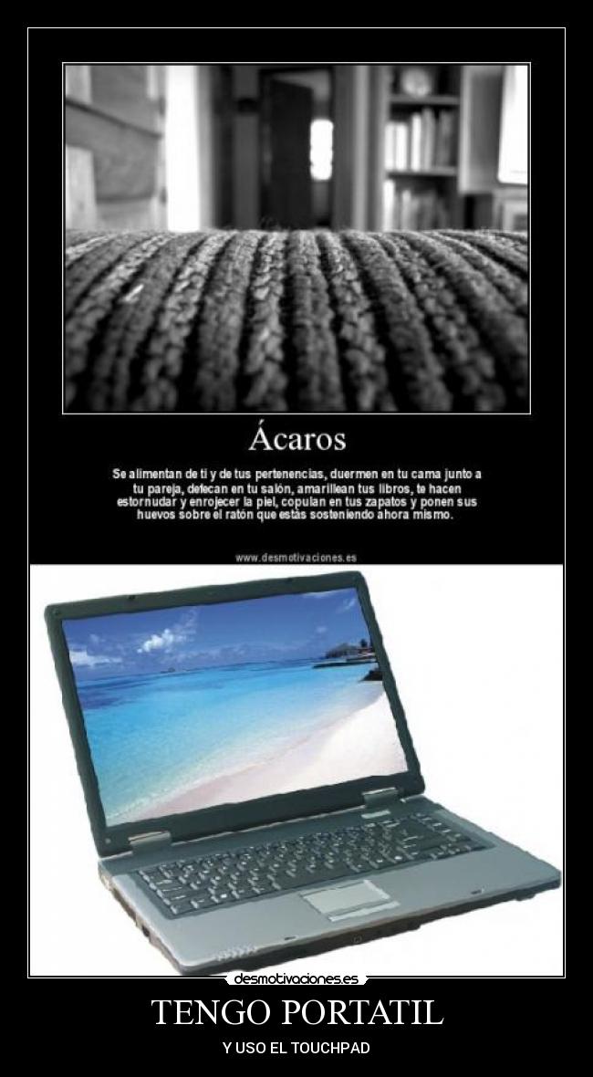 TENGO PORTATIL - 