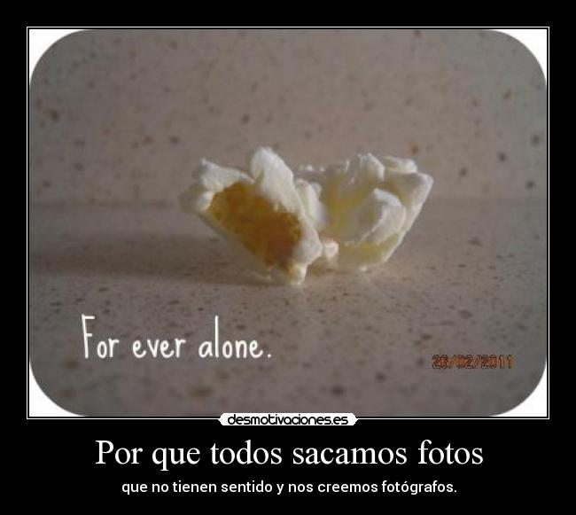 Por que todos sacamos fotos -