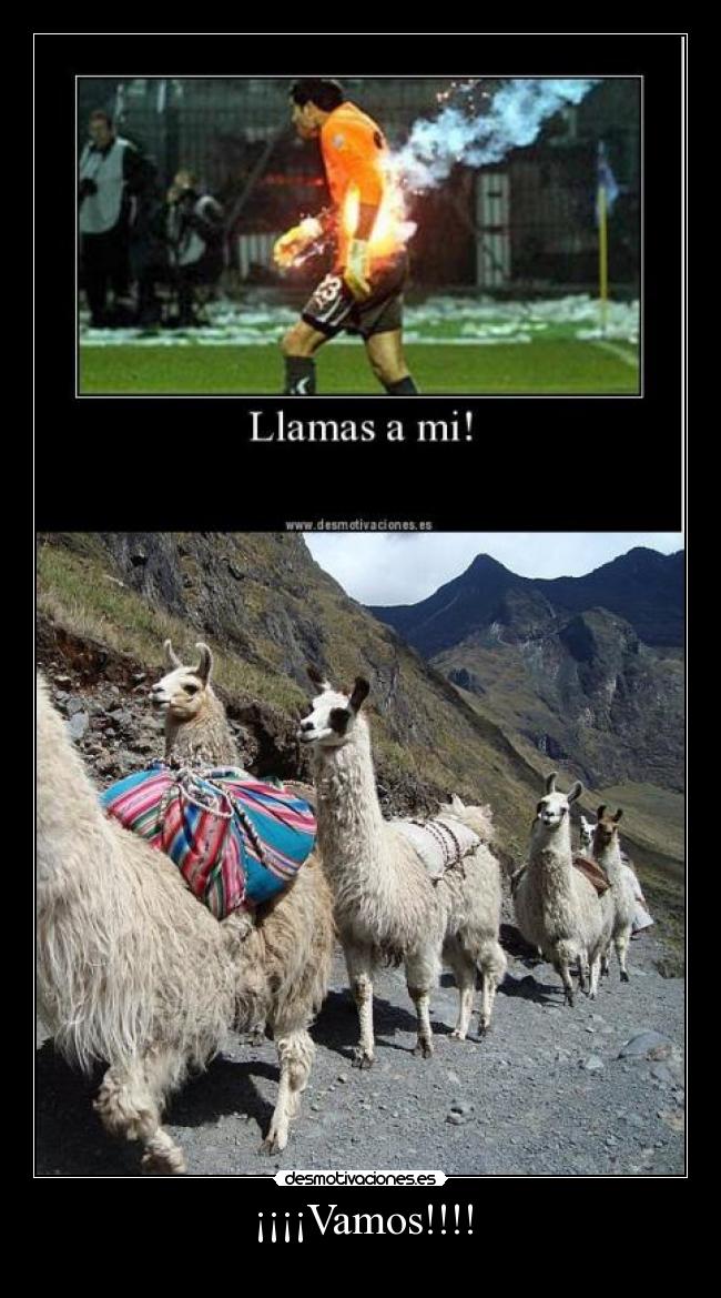 ¡¡¡¡Vamos!!!! -