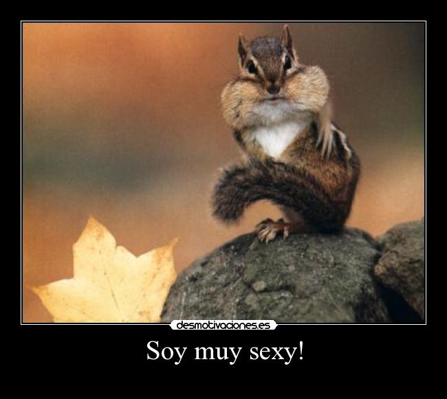 Soy muy sexy! - 
