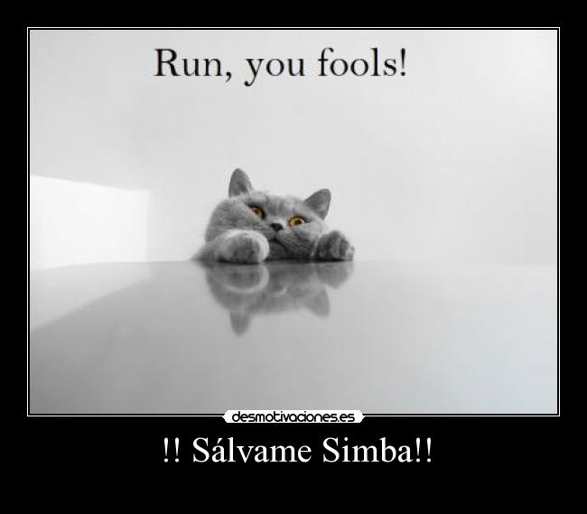 !! Sálvame Simba!! - 