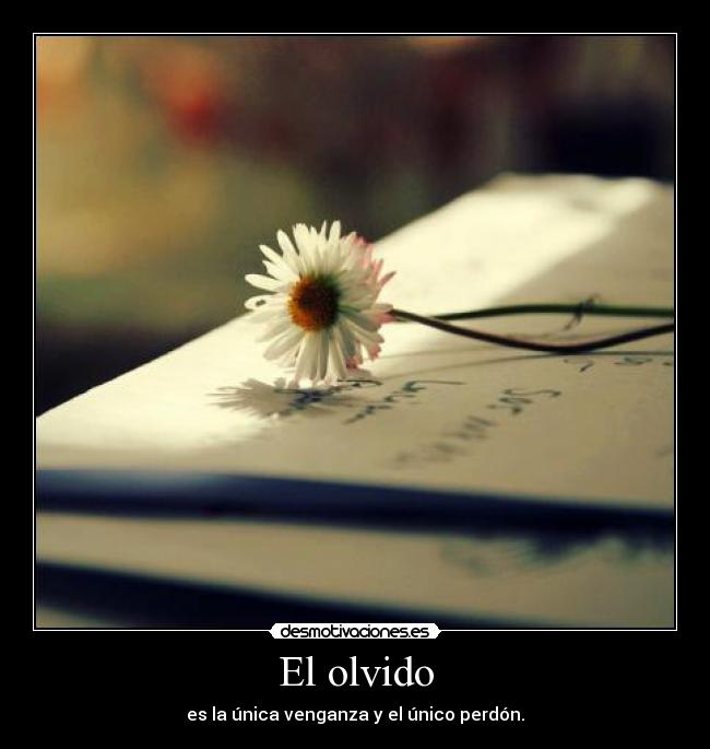 El olvido -