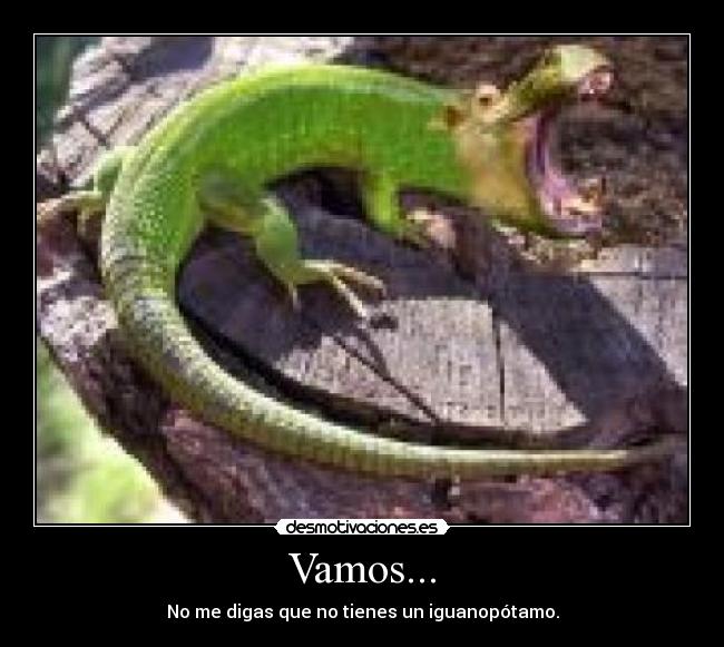 Vamos... - No me digas que no tienes un iguanopótamo.