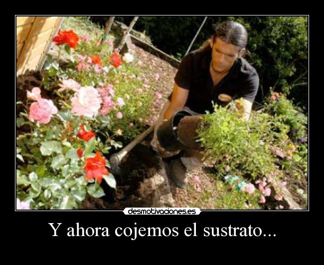 Y ahora cojemos el sustrato... -