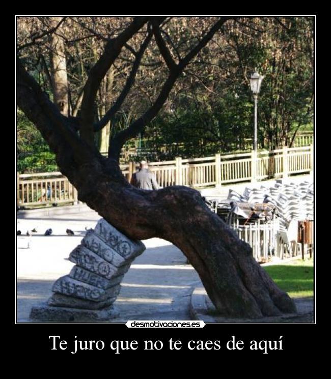 Te juro que no te caes de aquí -