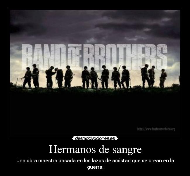 carteles hermanos sangre desmotivaciones