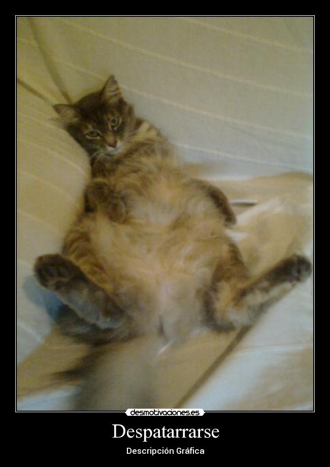 Despatarrarse - Descripción Gráfica