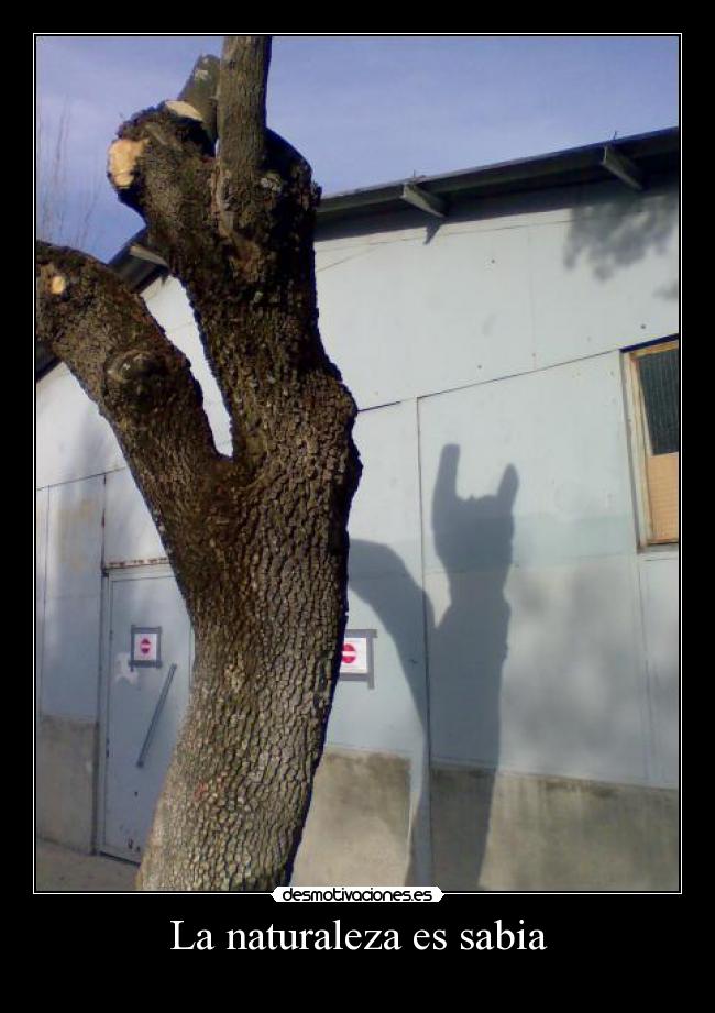 La naturaleza es sabia - 