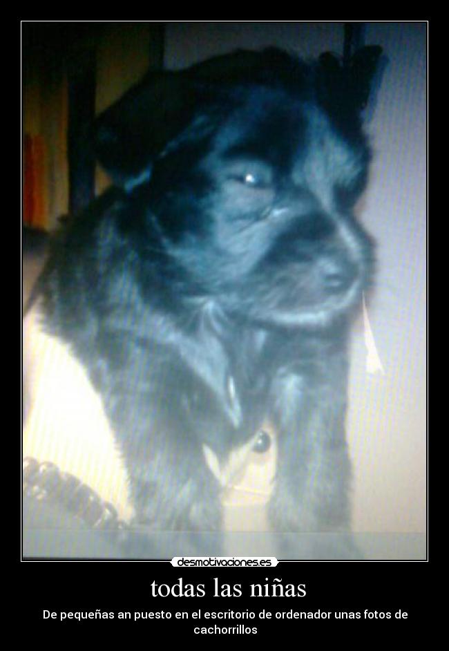  todas las niñas - De pequeñas an puesto en el escritorio de ordenador unas fotos de cachorrillos