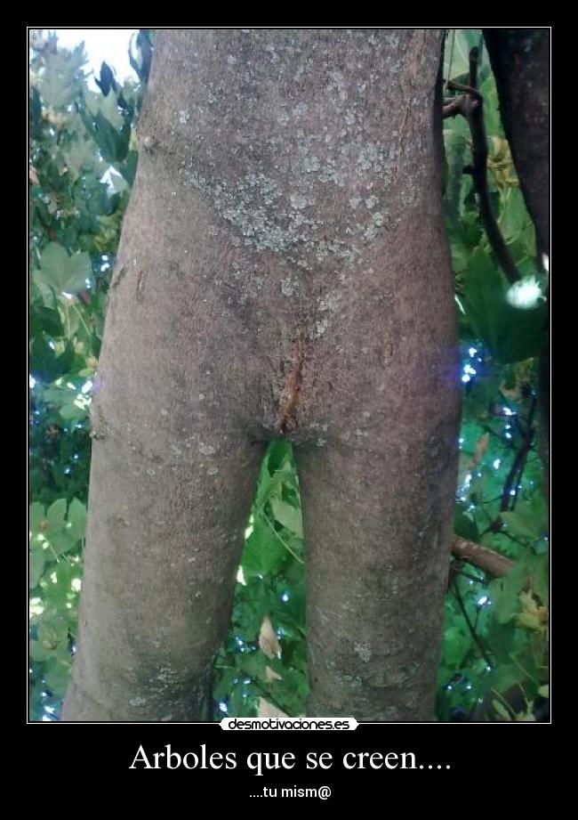Arboles que se creen.... - 