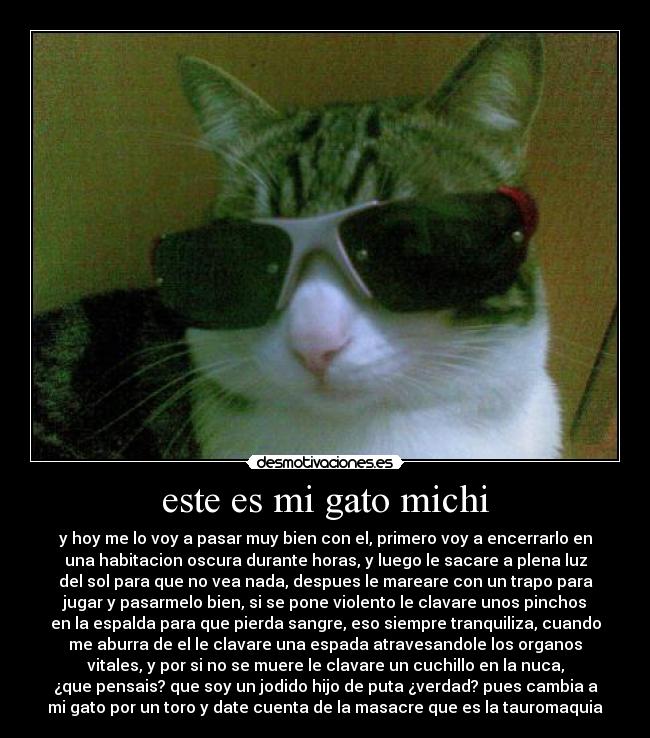 este es mi gato michi - 
