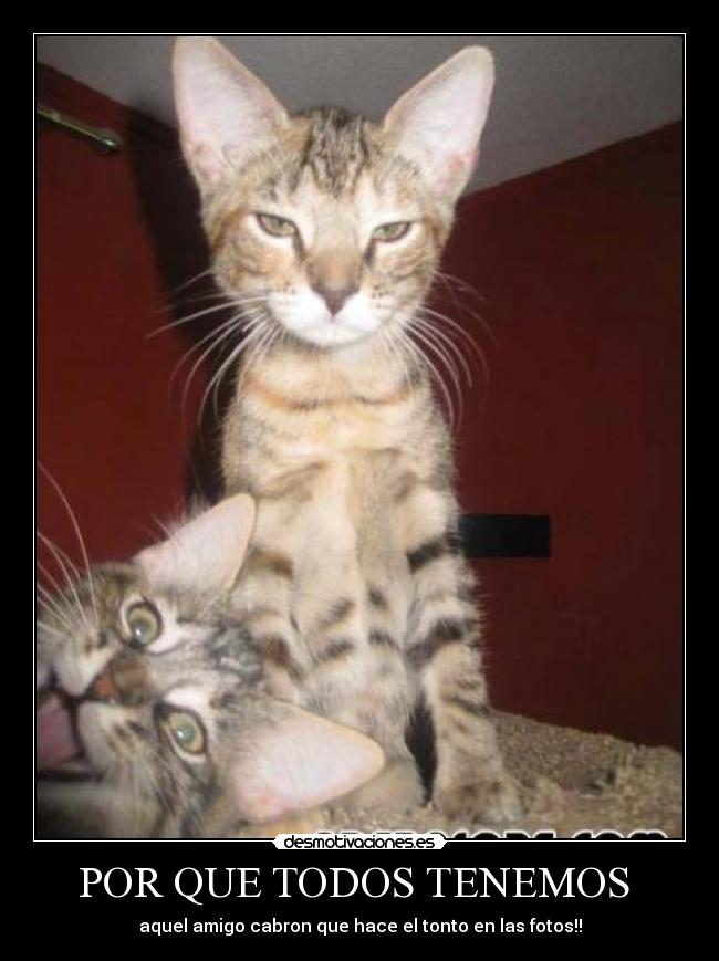 POR QUE TODOS TENEMOS -