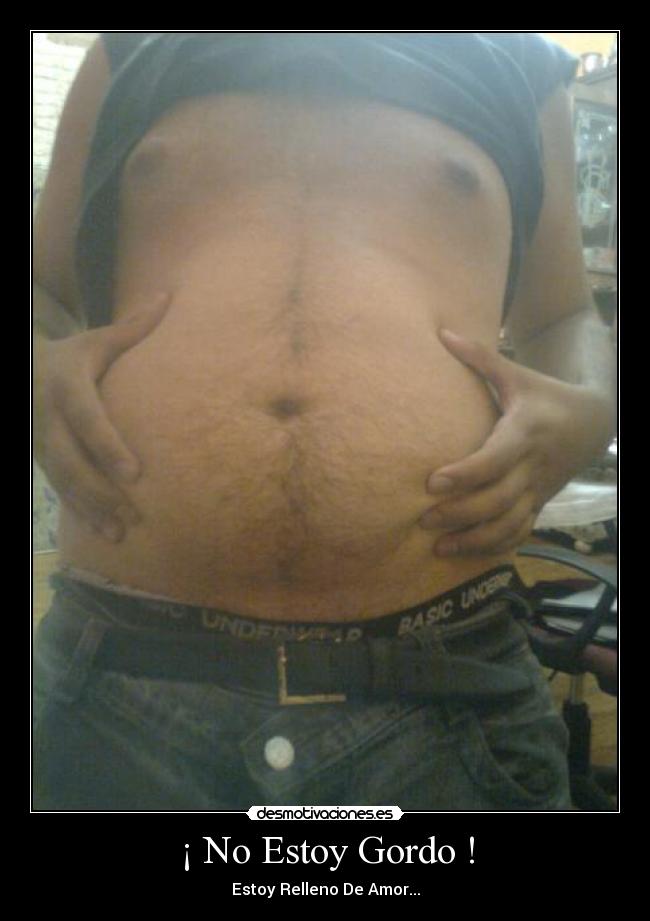 ¡ No Estoy Gordo ! - Estoy Relleno De Amor...