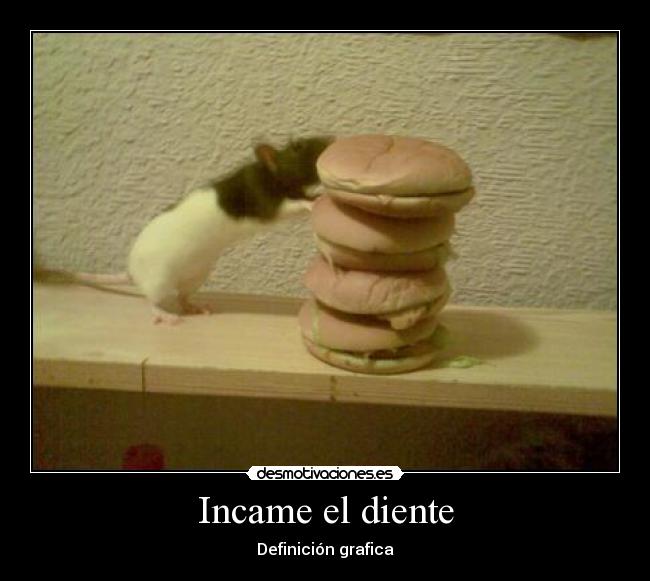 Incame el diente - Definición grafica