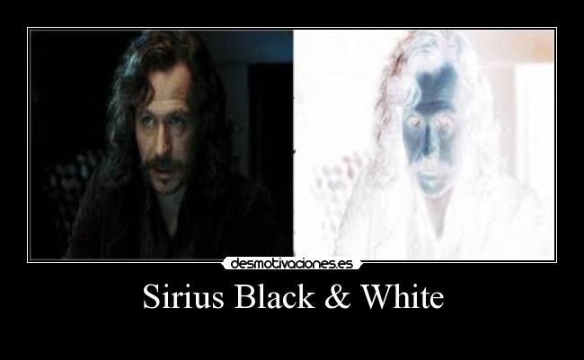 Sirius Black & White -