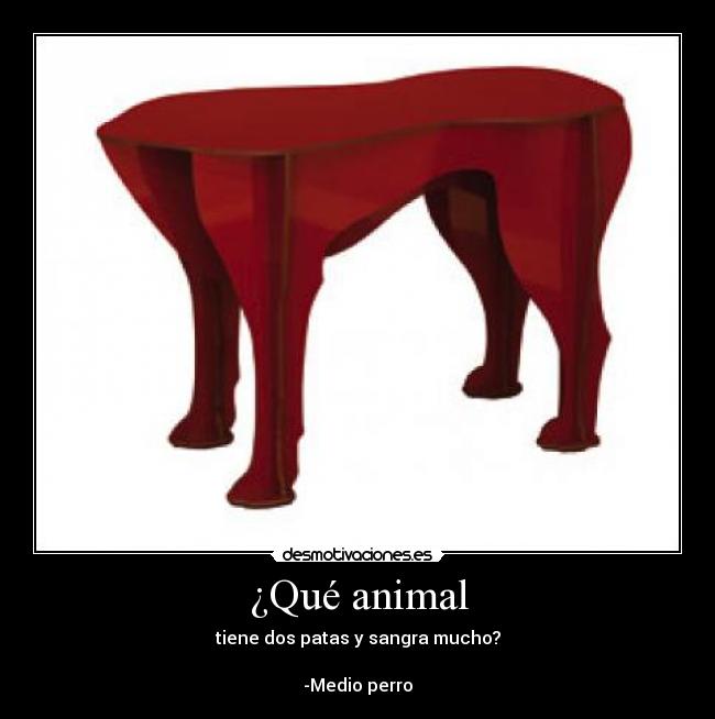 ¿Qué animal -