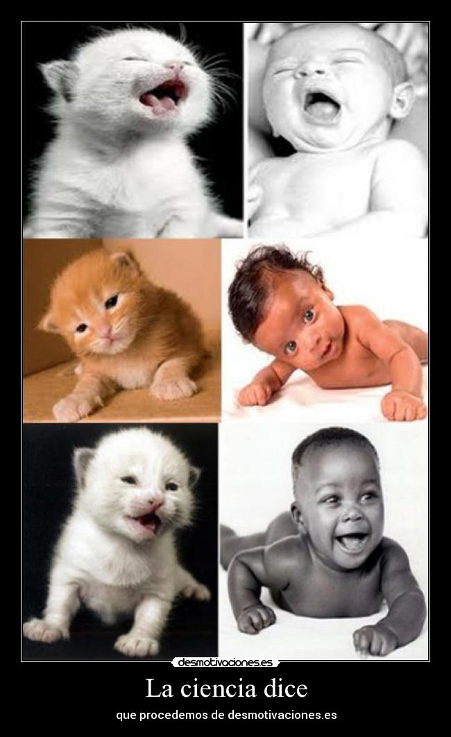 La ciencia dice - que procedemos de desmotivaciones.es