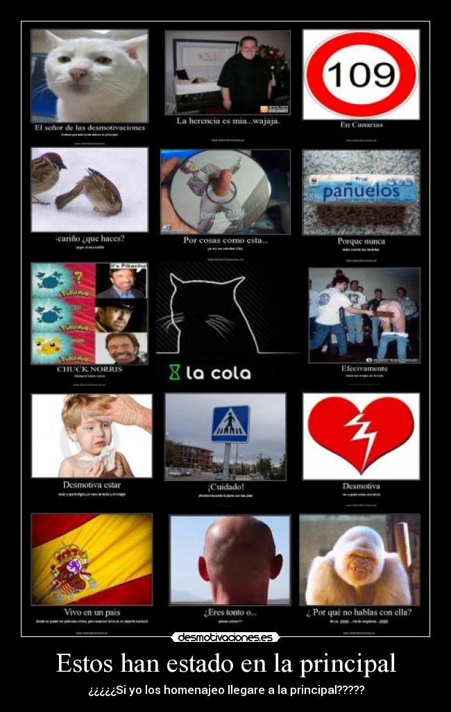 Estos han estado en la principal -