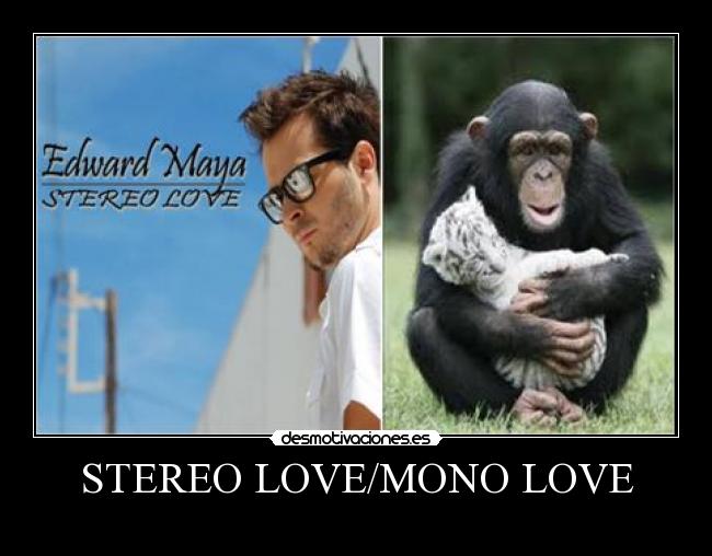 carteles stereo love edward maya mono love desmotivaciones