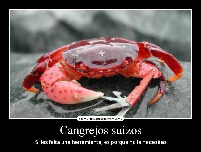 Cangrejos suizos - 