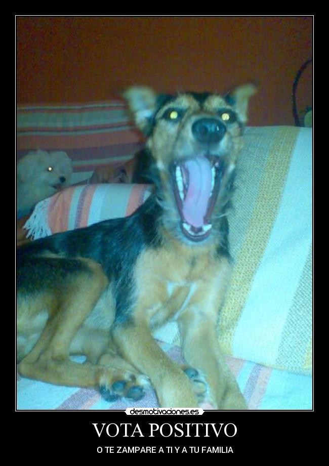 VOTA POSITIVO - 